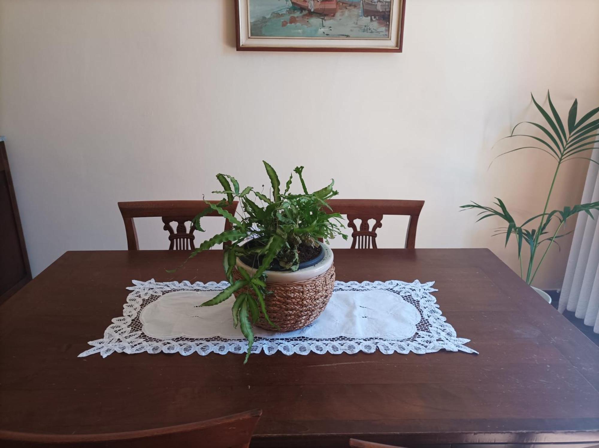Bed And Breakfast Da Pio Castello  Ngoại thất bức ảnh