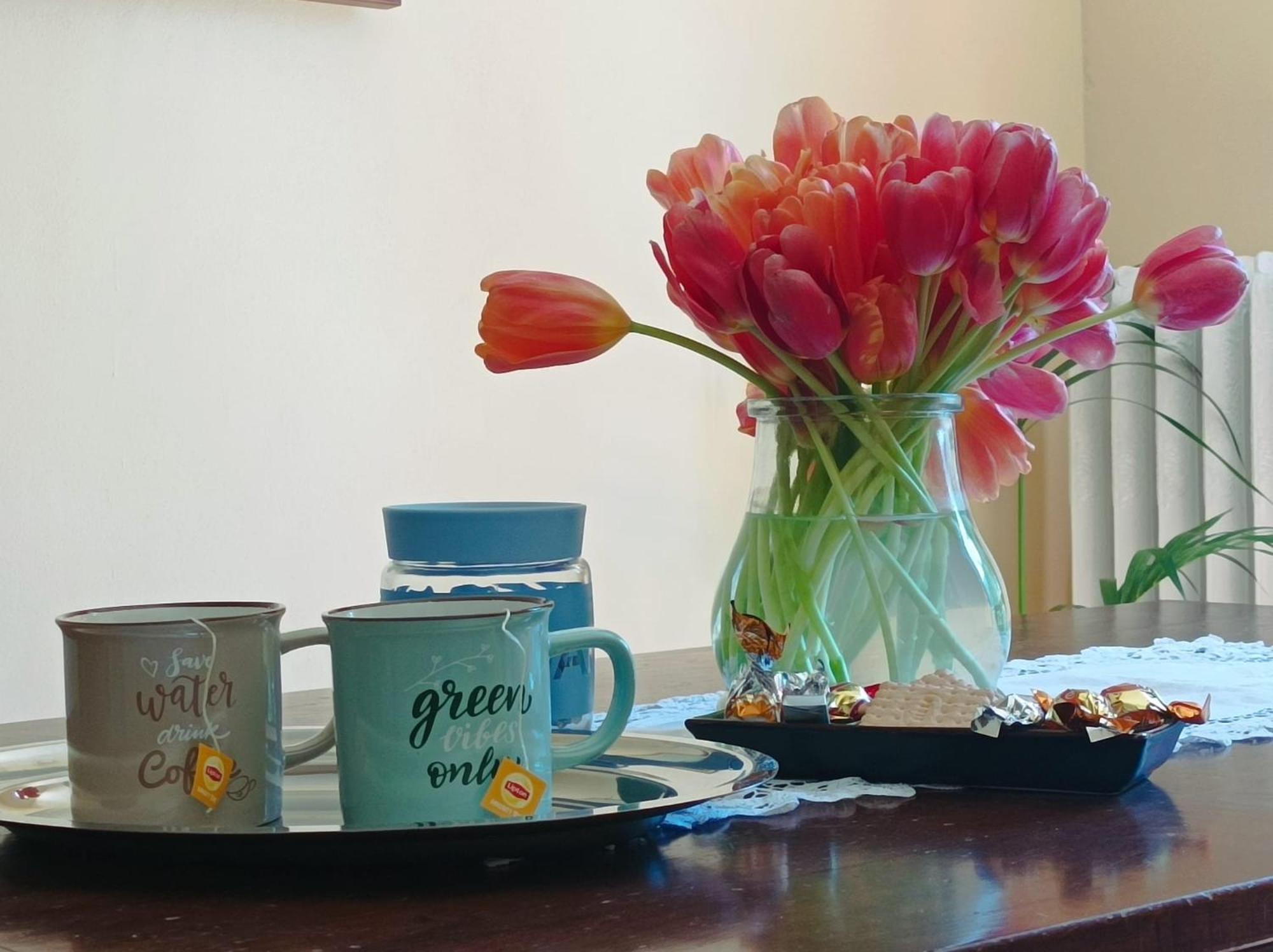 Bed And Breakfast Da Pio Castello  Ngoại thất bức ảnh